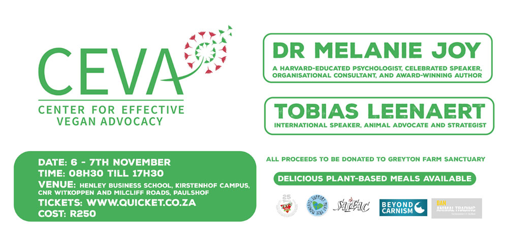 ceva-workshops-cape-town